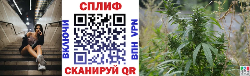Названия наркотиков Сокол Alpha-PVP ЭКСТАЗИ Канабис гидра онион Гашиш