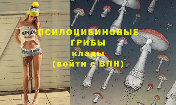 альфа пвп Арсеньев