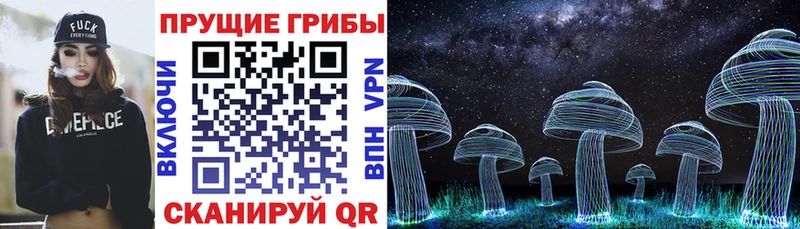 Псилоцибиновые грибы MAGIC MUSHROOMS  купить  сайты  Сокол 