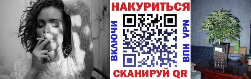 MEGA как зайти  shop клад  Марихуана Ganja  как найти наркотики  Сокол 